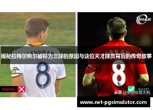 揭秘拉梅尔鲍尔被称为三球的原因与这位天才球员背后的传奇故事