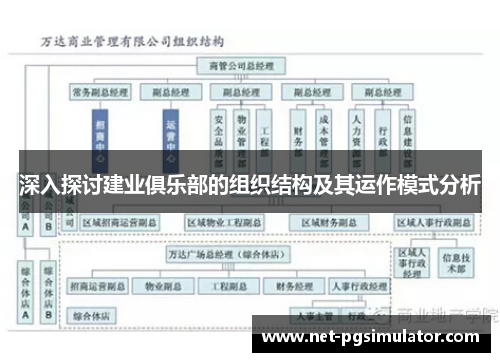 深入探讨建业俱乐部的组织结构及其运作模式分析